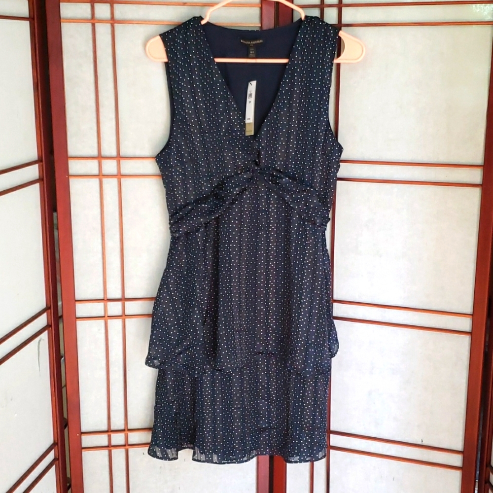 Banana Republic Polka Dot Dress